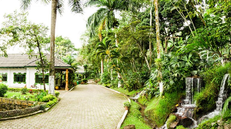 paraiso-terrenal-01