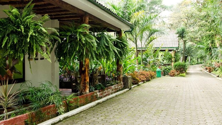 paraiso-terrenal-04