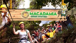 Bosque de aventura Macadamia